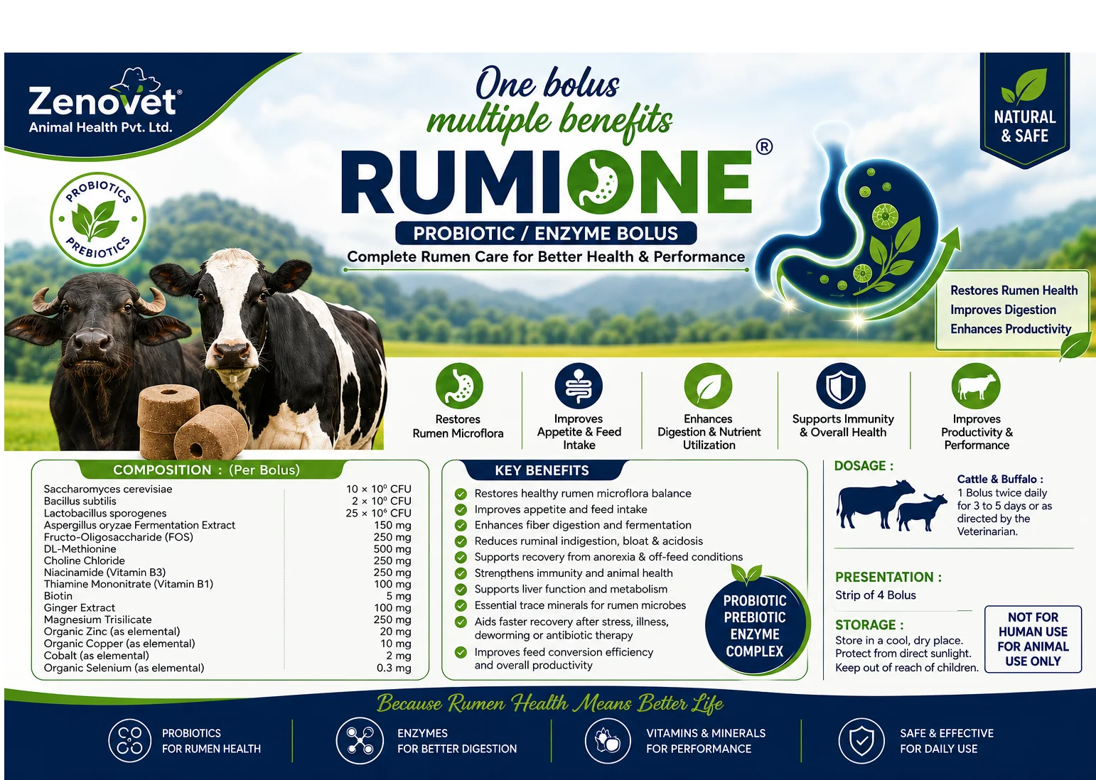 RUMIONE