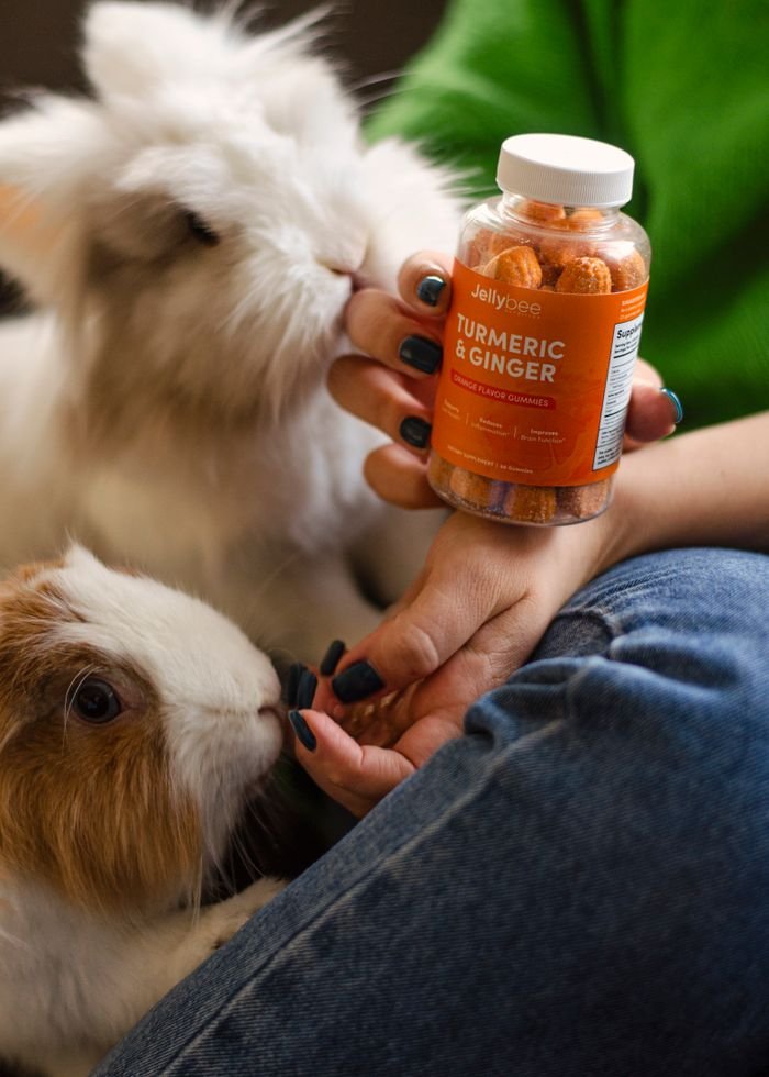 Hand holding turmeric and ginger gummies next to curious rabbits and guinea pig.